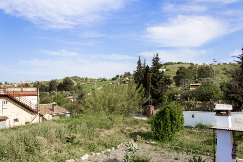 finca-for-sale-outskirts-coin-052-finca-araucaria-052