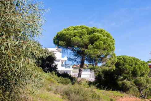 luxury-villa-for-sale-elviria-marbella-spain-008-IMG_1058